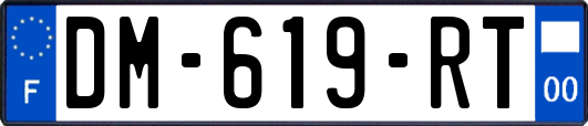 DM-619-RT