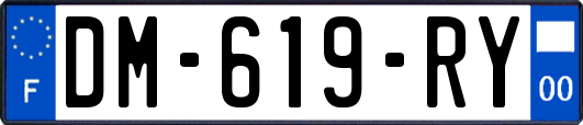 DM-619-RY