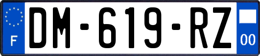 DM-619-RZ