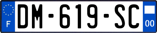 DM-619-SC