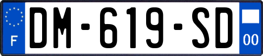 DM-619-SD