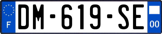 DM-619-SE