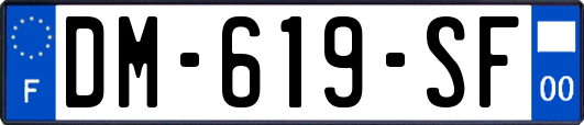 DM-619-SF