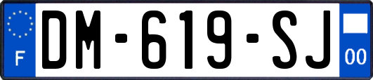 DM-619-SJ