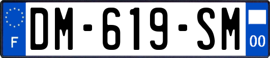 DM-619-SM