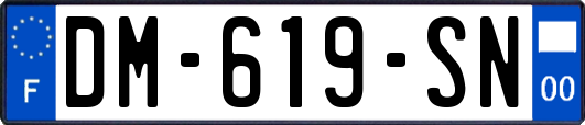 DM-619-SN