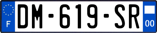 DM-619-SR