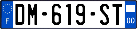 DM-619-ST