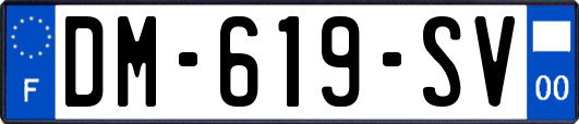 DM-619-SV