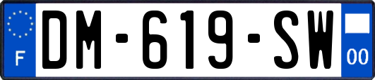 DM-619-SW