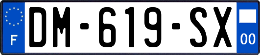 DM-619-SX
