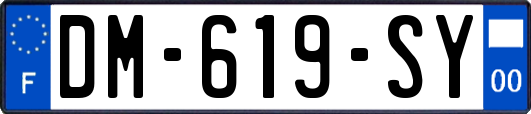 DM-619-SY