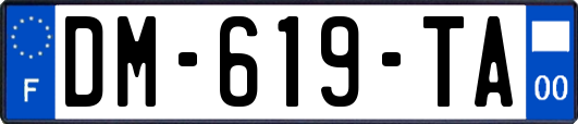 DM-619-TA