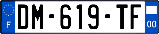 DM-619-TF