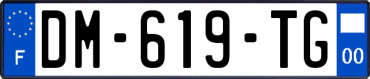 DM-619-TG