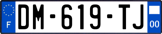 DM-619-TJ