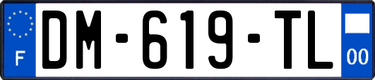 DM-619-TL