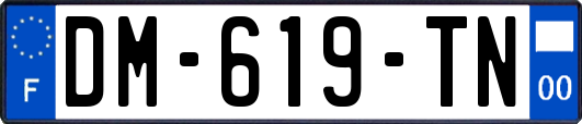 DM-619-TN