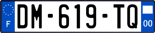 DM-619-TQ