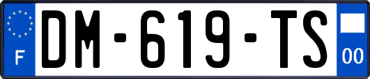 DM-619-TS