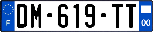DM-619-TT