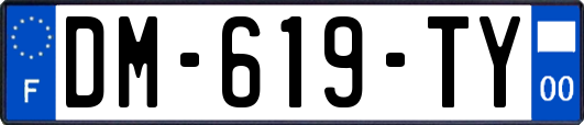 DM-619-TY