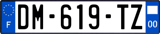 DM-619-TZ