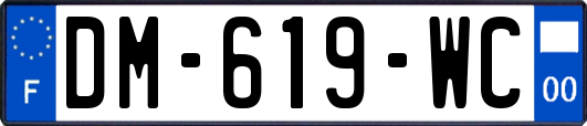 DM-619-WC