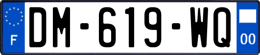 DM-619-WQ