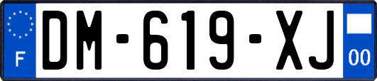 DM-619-XJ