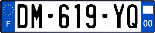 DM-619-YQ