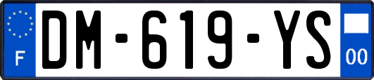 DM-619-YS