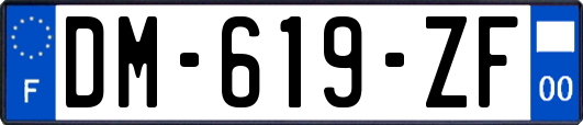 DM-619-ZF