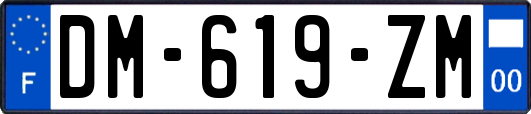 DM-619-ZM