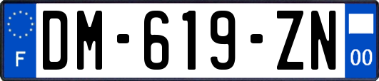 DM-619-ZN