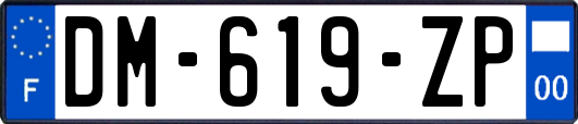 DM-619-ZP