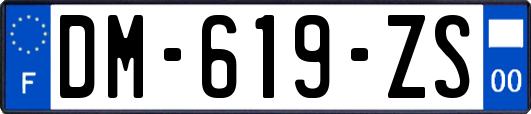 DM-619-ZS