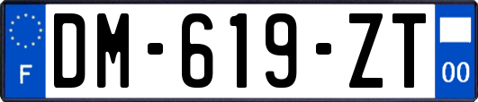 DM-619-ZT