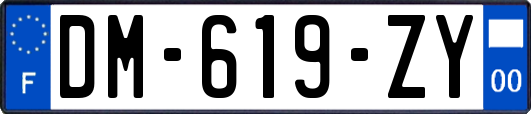 DM-619-ZY