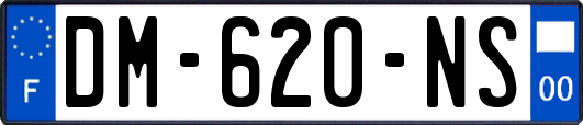 DM-620-NS