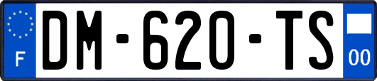 DM-620-TS