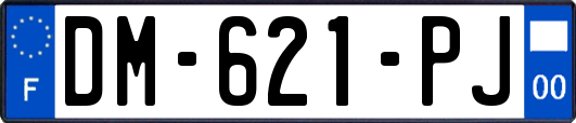 DM-621-PJ