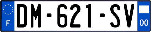 DM-621-SV