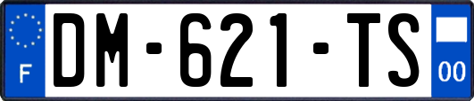 DM-621-TS