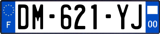 DM-621-YJ