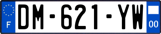 DM-621-YW