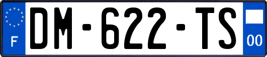 DM-622-TS