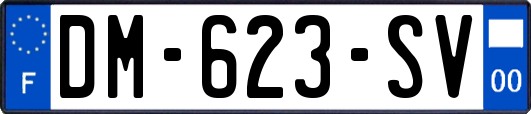 DM-623-SV