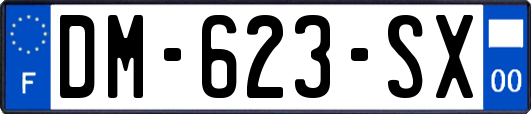 DM-623-SX