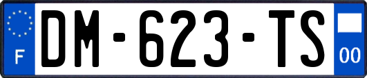DM-623-TS